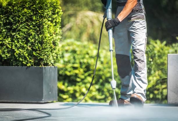 Best Building Exterior Washing  in Rhinelander, WI