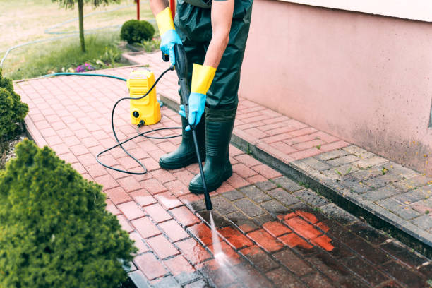 Best House Exterior Washing  in Rhinelander, WI